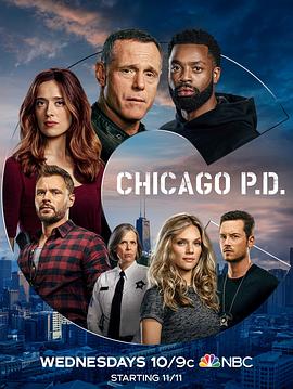 芝加哥警署 第八季第12集