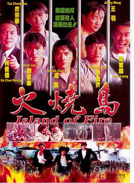 火烧岛1991(全集)
