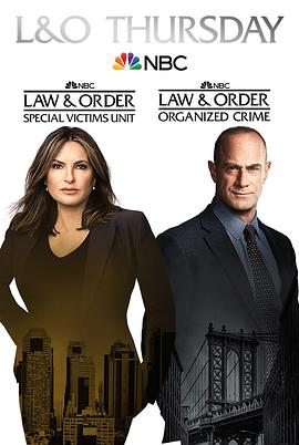 法律与秩序组织犯罪第二季第3集