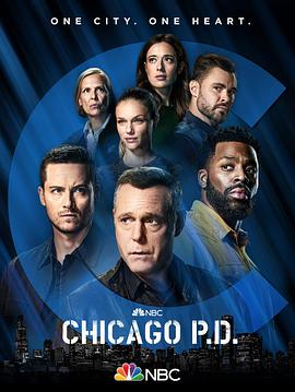 芝加哥警署第九季第4集