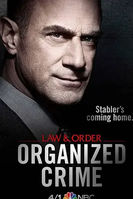 法律与秩序组织犯罪第一季第4集