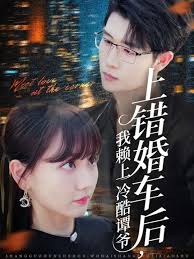 上错婚车后我赖上冷酷谭爷(全集)
