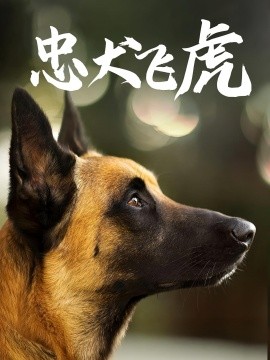 忠犬飞虎(全集)